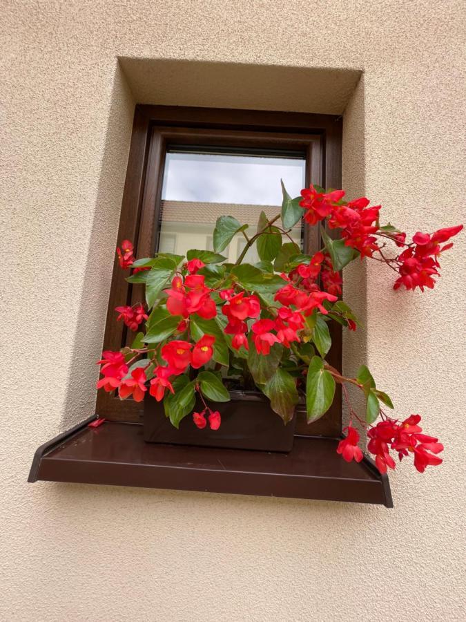 Sloneczne Apartamenty Bad Altheide Exterior foto